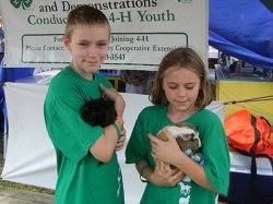Kids with Guinea Pigs | 4H Show