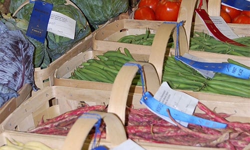 Baskets of Blue Ribbon Vegetables