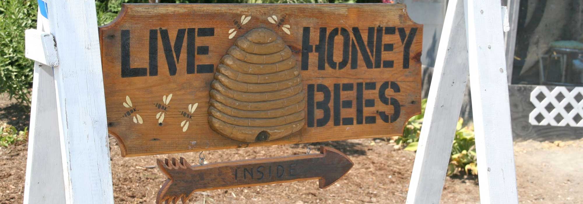 Live Honey Bees Sign | Beekeeping
