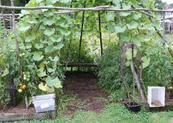 Garden Plant Arch | Agriculture Exhibitor Information