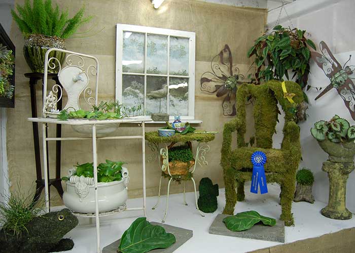 Mossy Horitculture Display