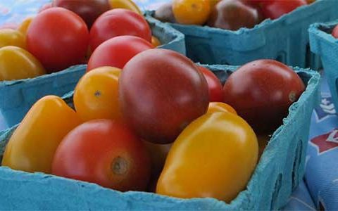 Upclose Picture of Pints of Cherry Tomatoes