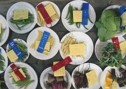 Plates of Various Vegetables | Agriculture Exhibitor Information