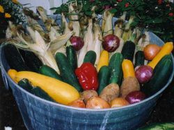 Vegetable Display in a Bucket | Daily Entertainment